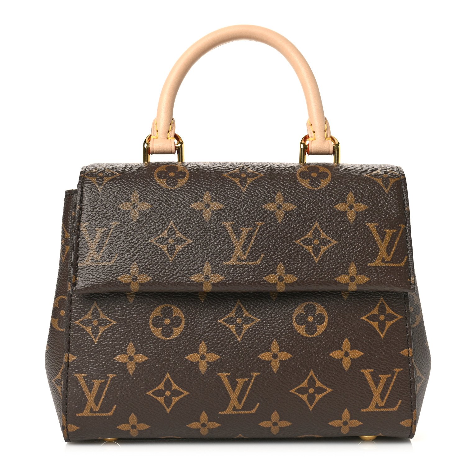 Louis Vuitton Monogram Mini Cluny